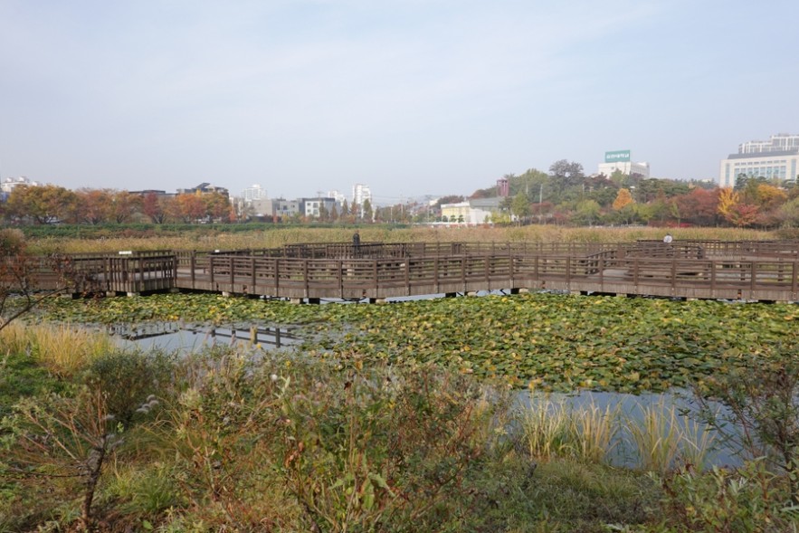푸른수목원 전경 5